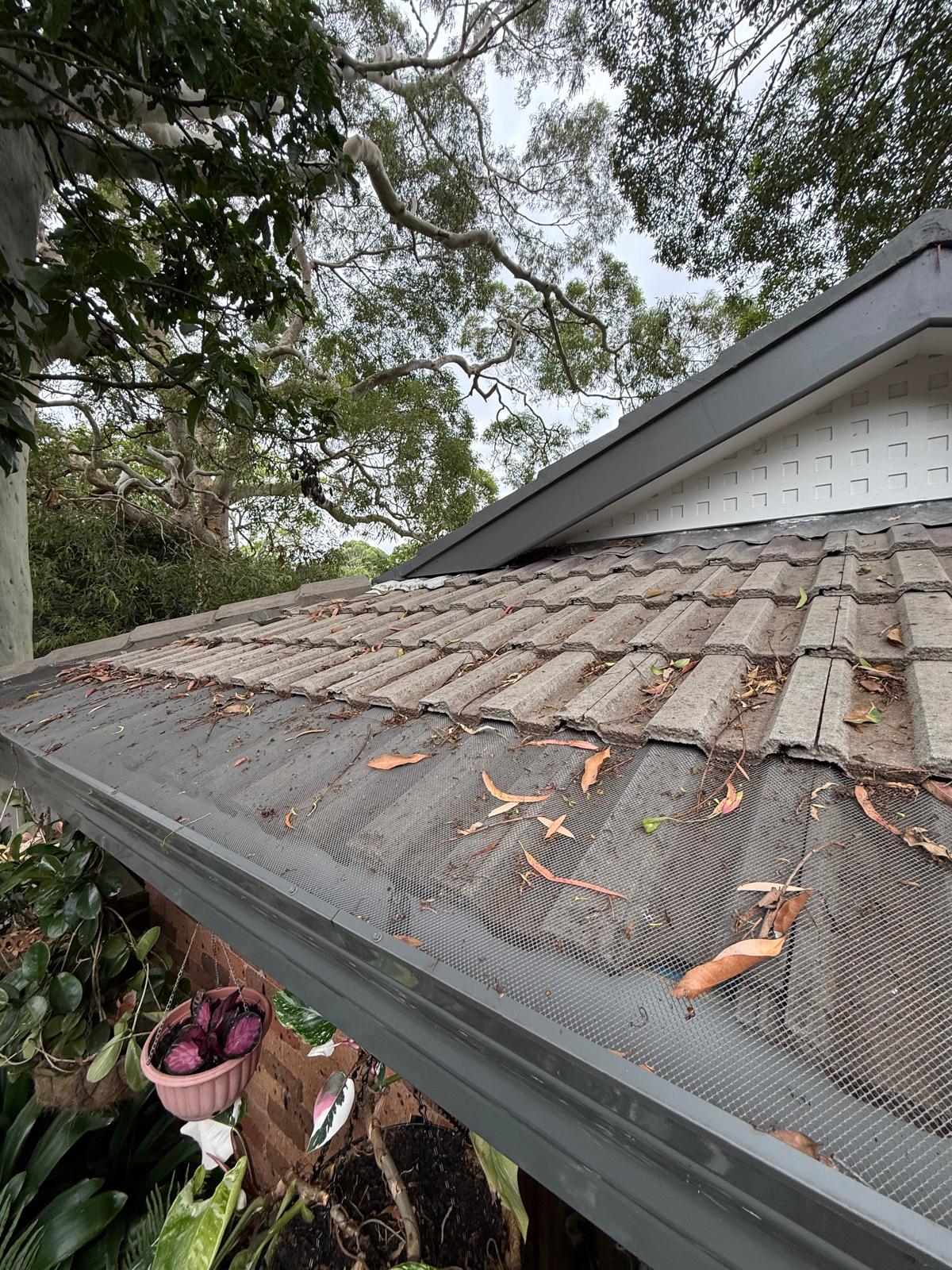 Gutter guard mesh installed on a Colorbond gutter, keeping gum leaves out