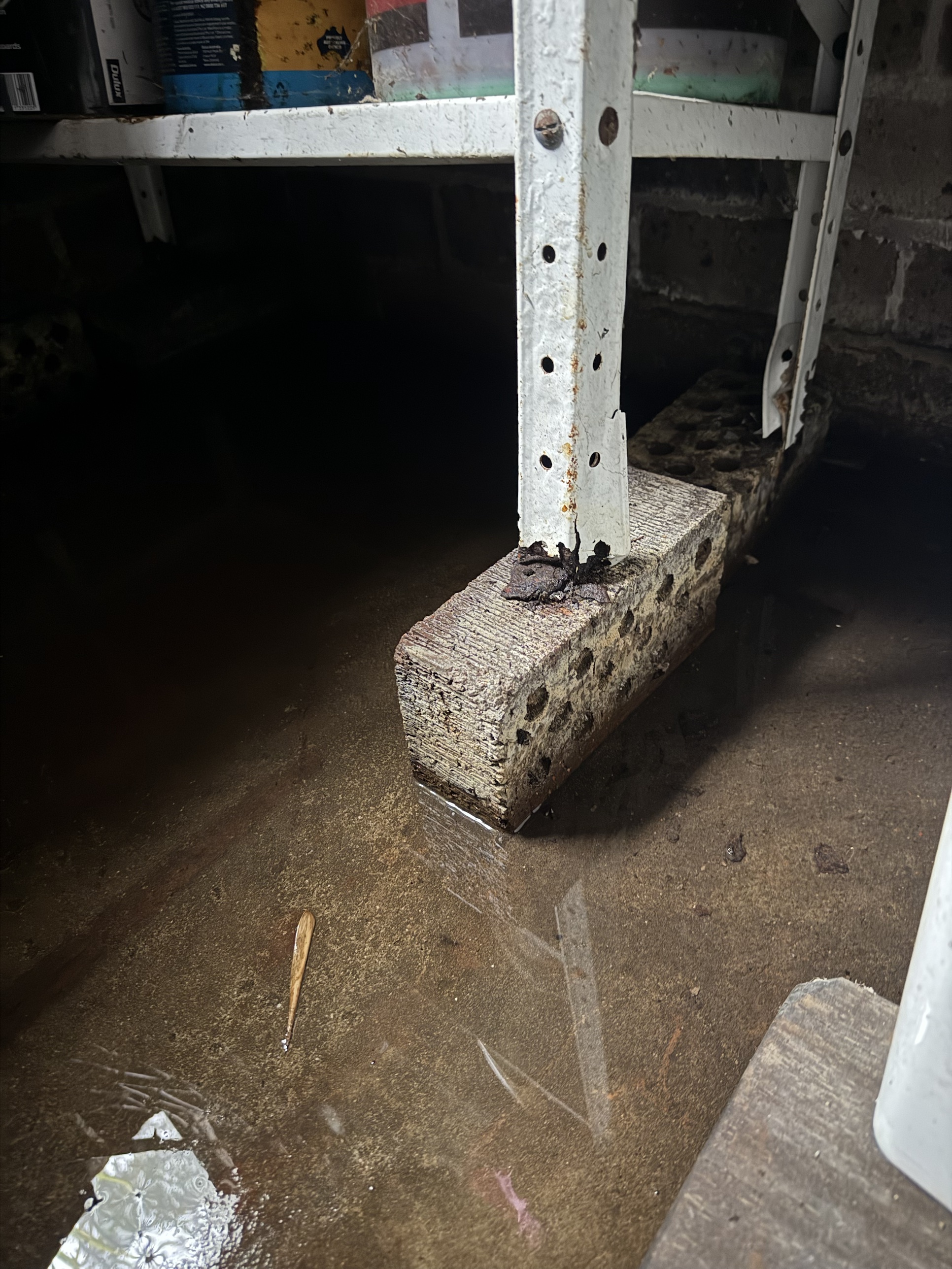 Water pooled across the garage floor, having pushed in through the brickwork at the base of the slab